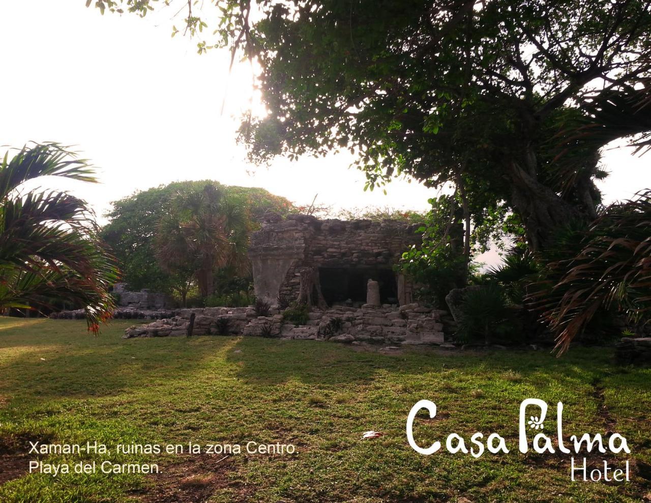 Casa Palma Hotel Playa del Carmen Eksteriør billede